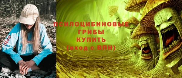 трава Армянск