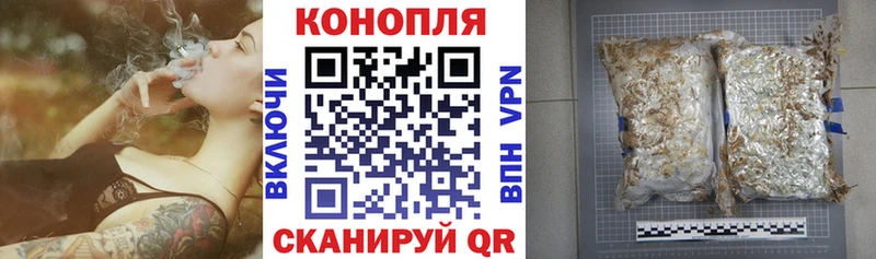 сколько стоит  Коломна  Бошки марихуана конопля 